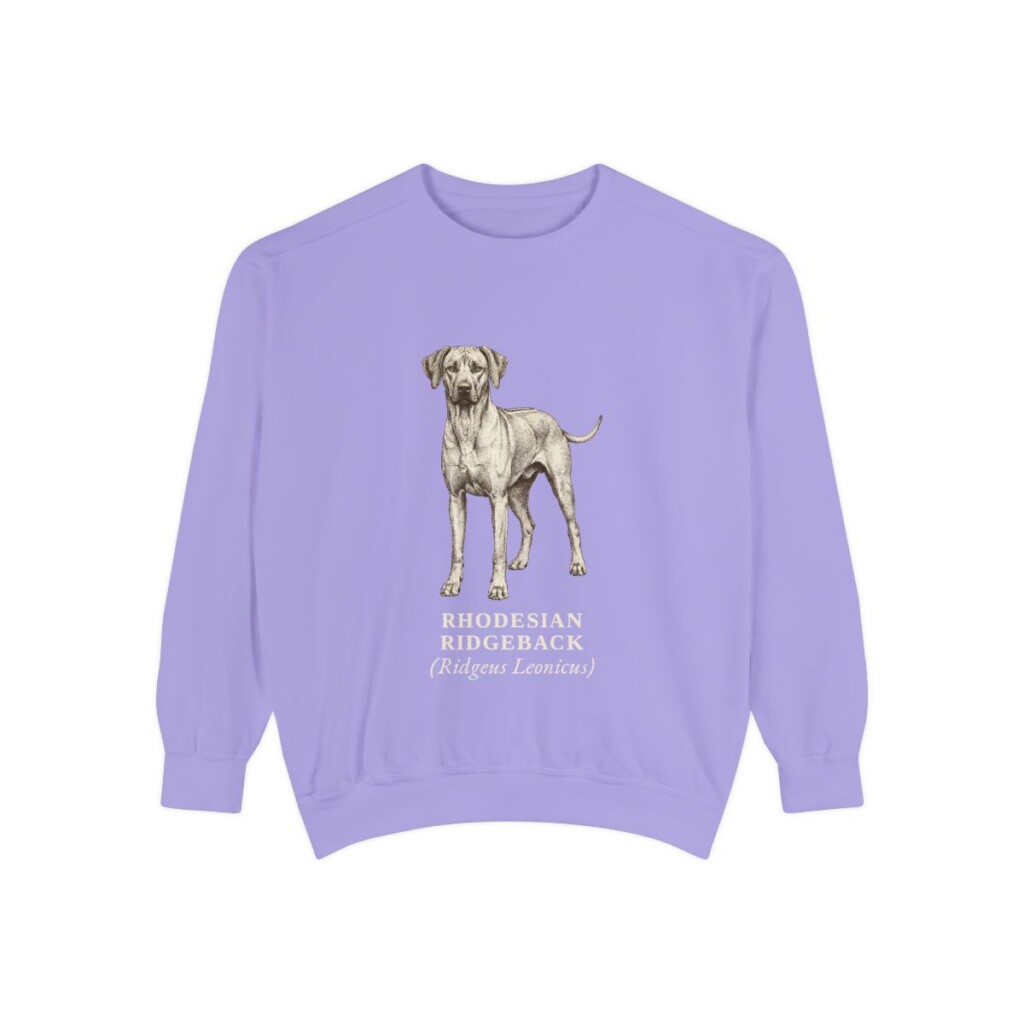 Rhodesian Ridgeback Latin Sweatshirt, Violet, front view