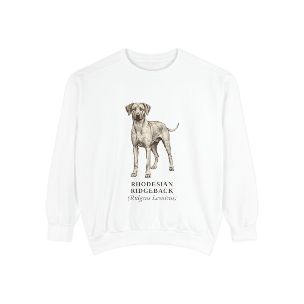 Rhodesian Ridgeback Latin Sweatshirt, White, front view