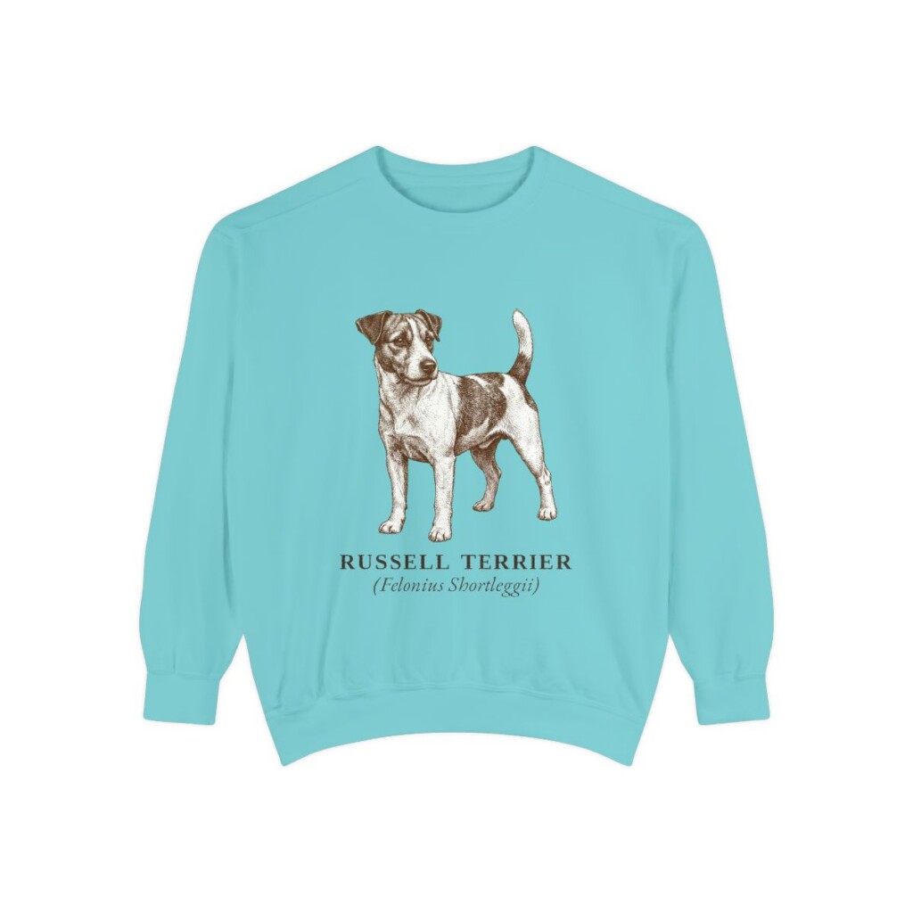 Russell Terrier Latin Sweatshirt, Chalky Mint, front view