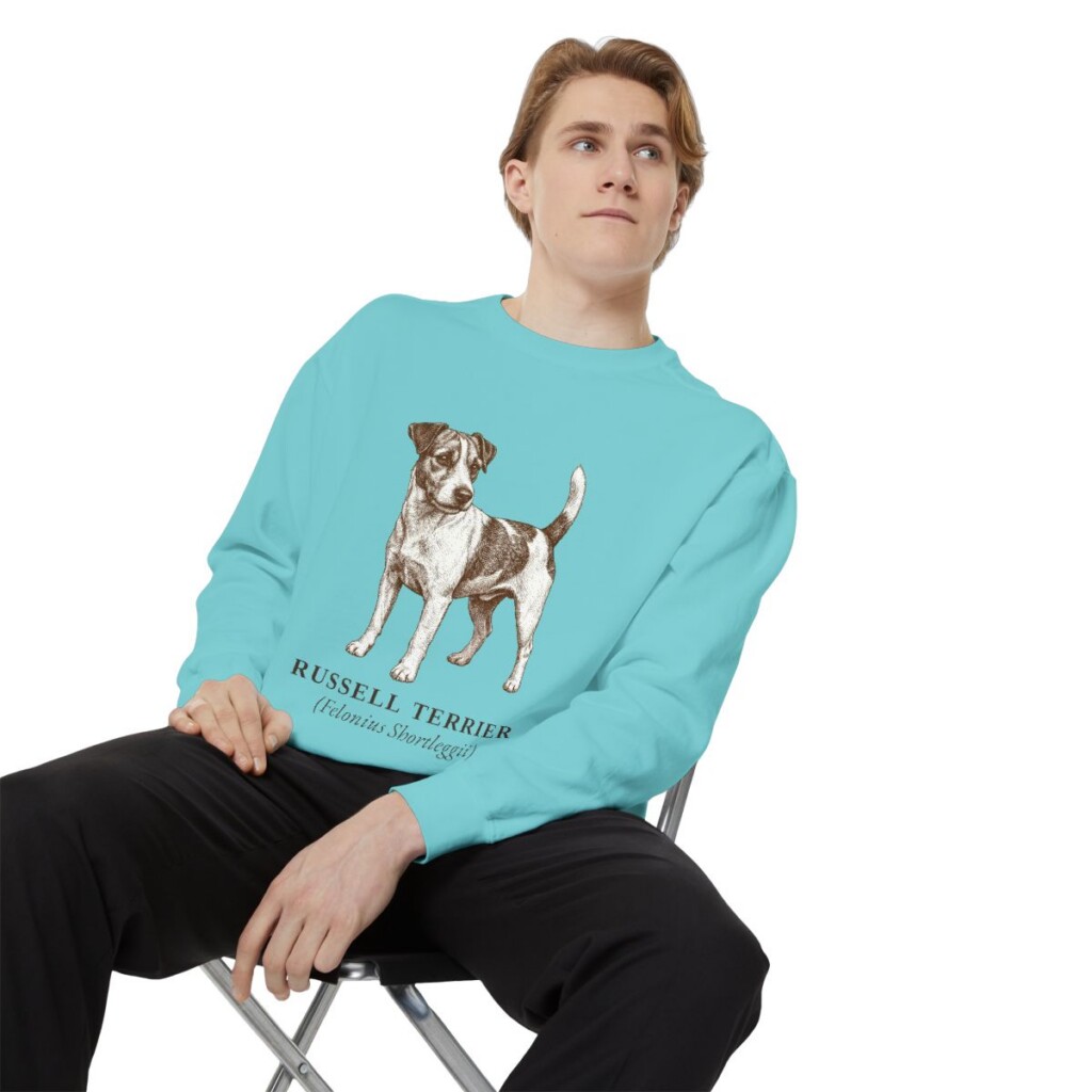 Russell Terrier Latin Sweatshirt, Chalky Mint, person 1 context