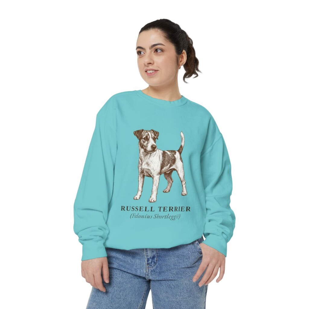 Russell Terrier Latin Sweatshirt, Chalky Mint, person 2 front