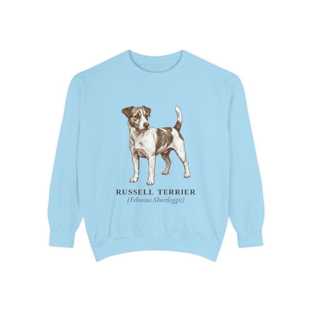 Russell Terrier Latin Sweatshirt, Chambray, front view