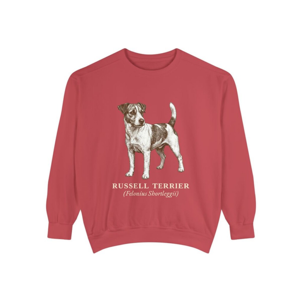 Russell Terrier Latin Sweatshirt, Crimson, front view