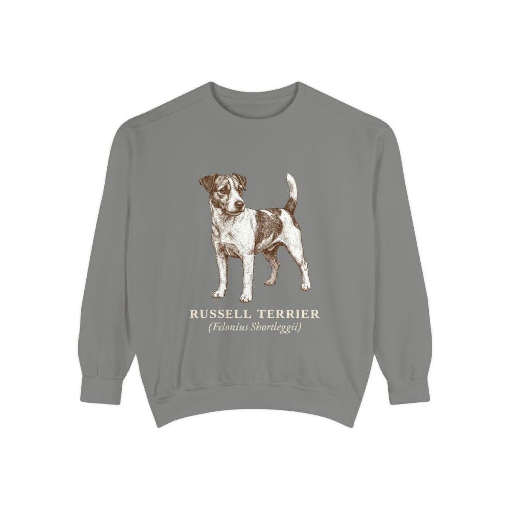 Russell Terrier Latin Sweatshirt, Grey, front view