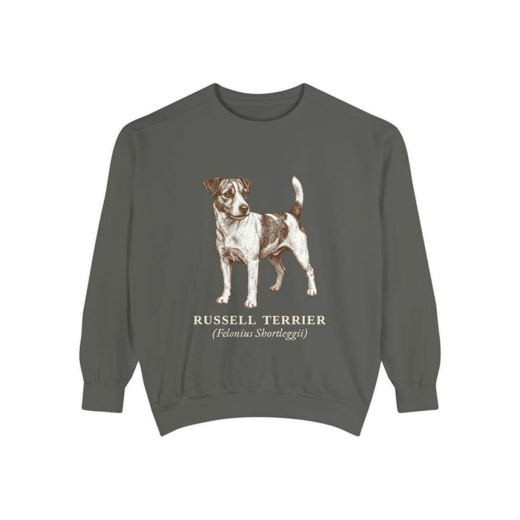 Russell Terrier Latin Sweatshirt, Pepper, front view