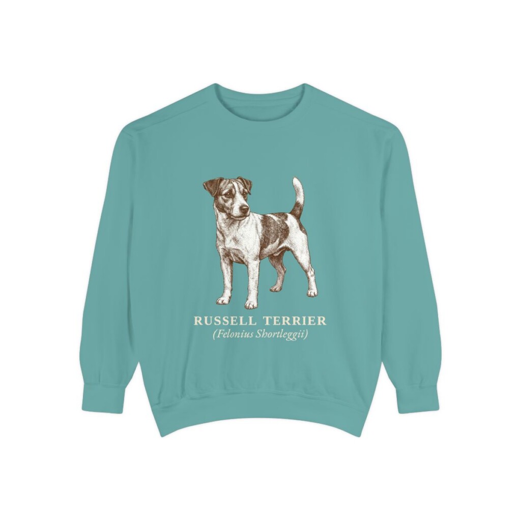Russell Terrier Latin Sweatshirt, Seafoam, front view