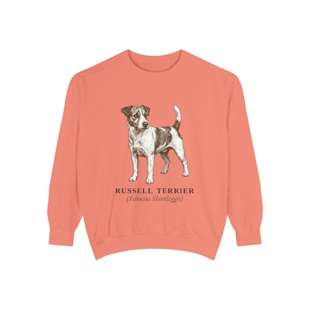 Russell Terrier Latin Sweatshirt, Terracotta, front view