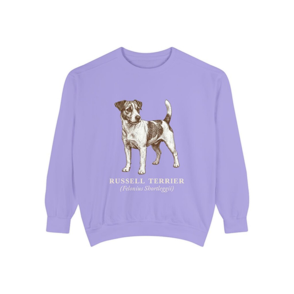 Russell Terrier Latin Sweatshirt, Violet, front view