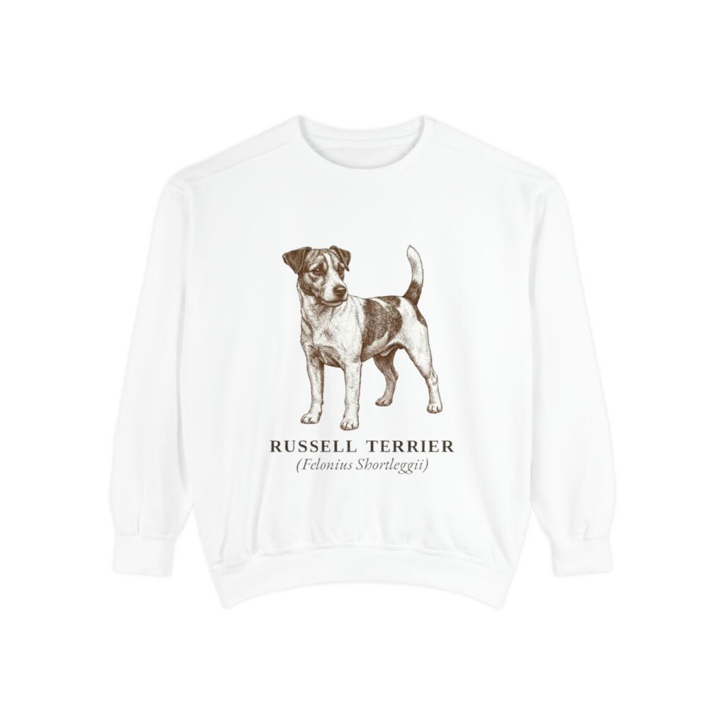 Russell Terrier Latin Sweatshirt, White, front view