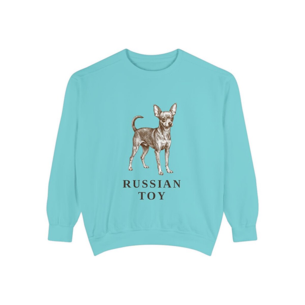 Russian Toy Sweatshirt, Chalky Mint, front view