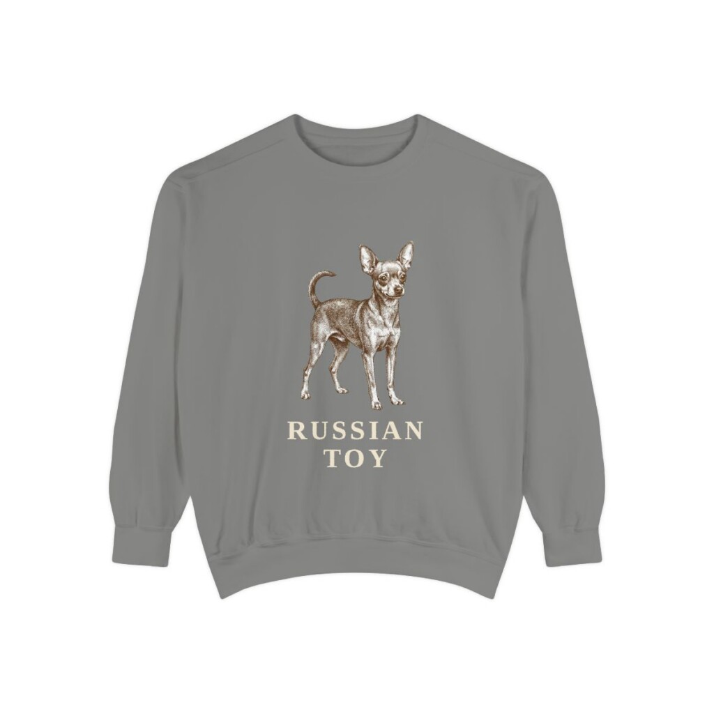 Russian Toy Sweatshirt, Grey, front view