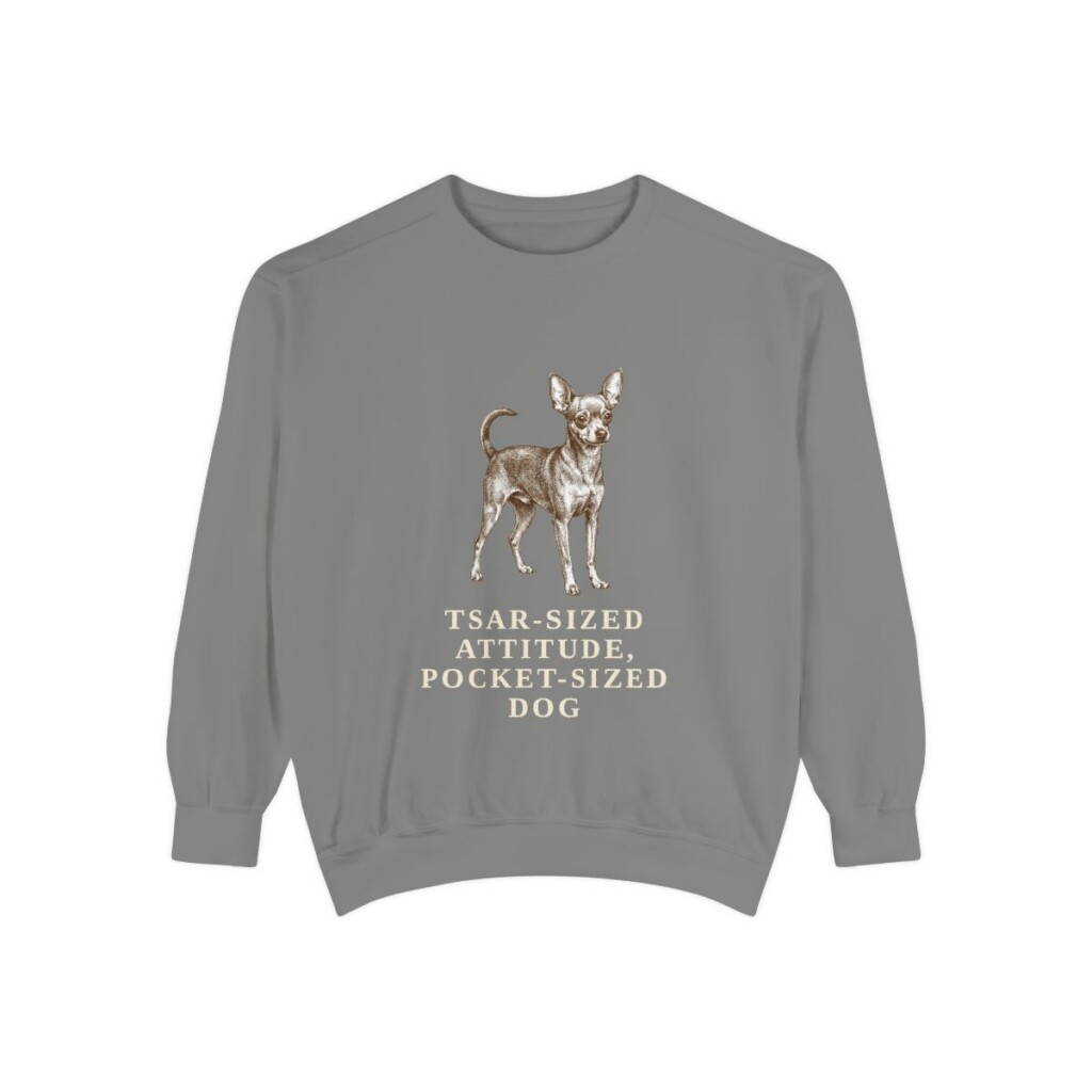 Russian Toy Humor Sweatshirt, Grey, front view