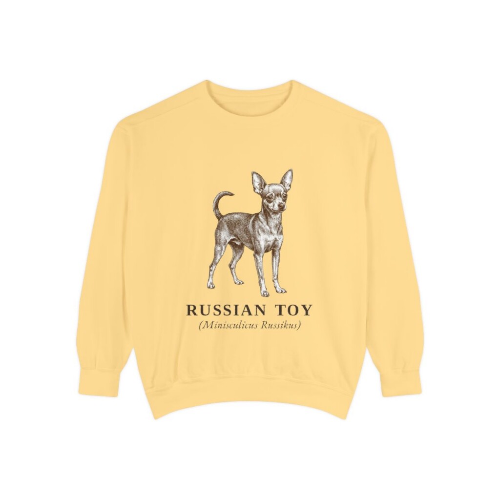 Russian Toy Latin Sweatshirt, Butter, front view