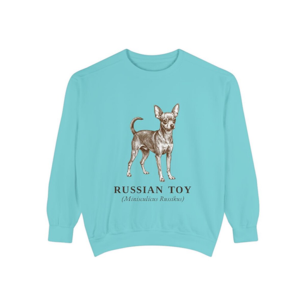Russian Toy Latin Sweatshirt, Chalky Mint, front view
