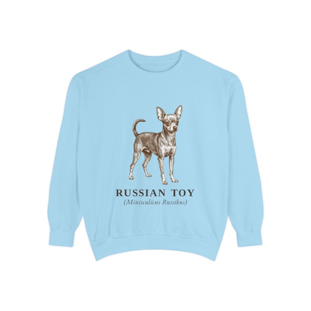 Russian Toy Latin Sweatshirt, Chambray, front view