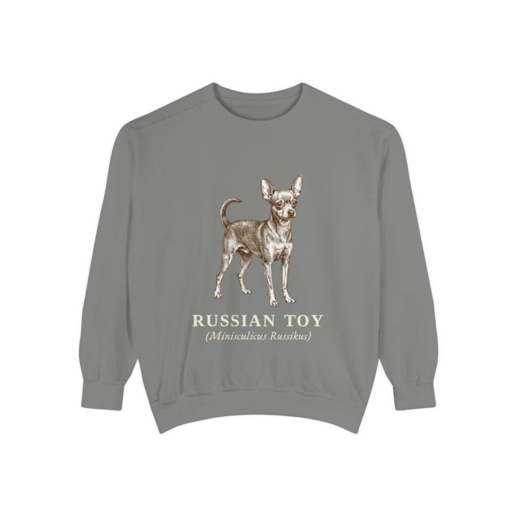 Russian Toy Latin Sweatshirt, Grey, front view
