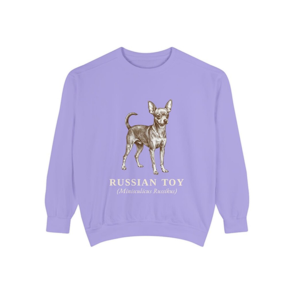 Russian Toy Latin Sweatshirt, Violet, front view
