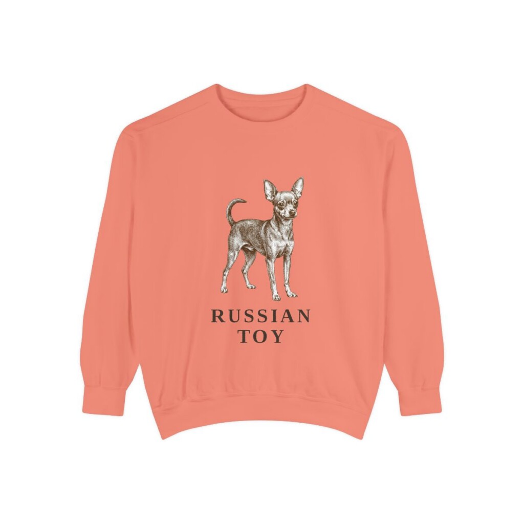 Russian Toy Sweatshirt, Terracotta, front view
