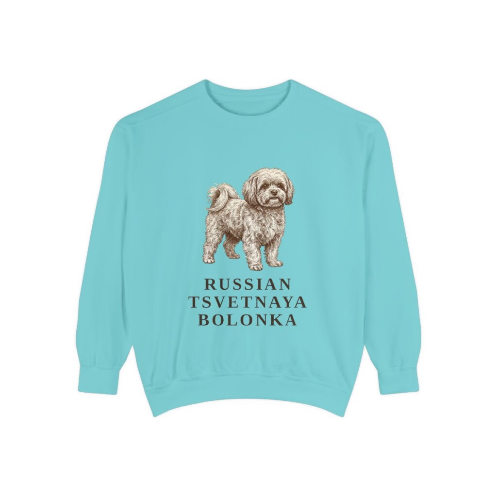 russian-tsvetnaya-bolonka-sweatshirt-chalky-mint Russian Tsvetnaya Bolonka Sweatshirt, Chalky Mint, front view