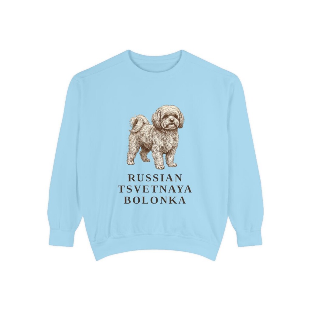 russian-tsvetnaya-bolonka-sweatshirt-chambray Russian Tsvetnaya Bolonka Sweatshirt, Chambray, front view