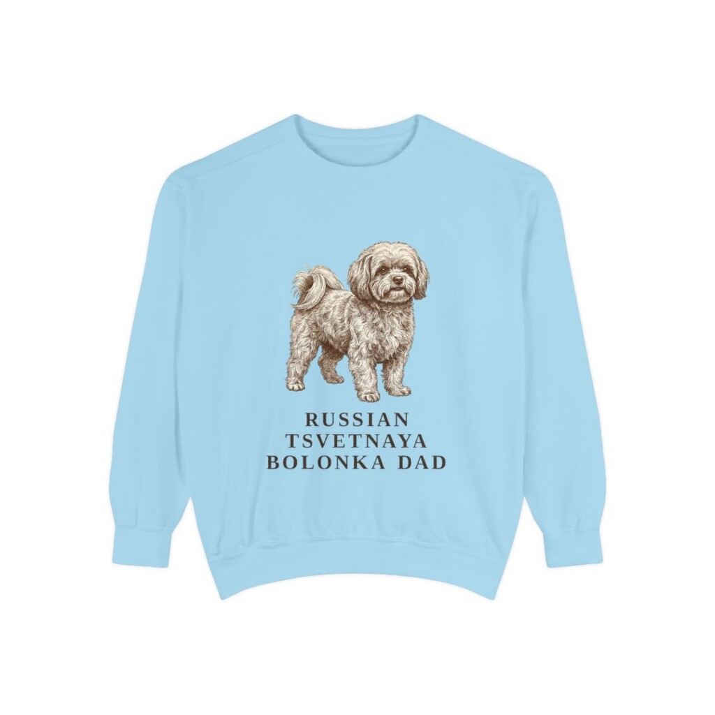 Russian Tsvetnaya Bolonka Dad Sweatshirt, Chambray, front view