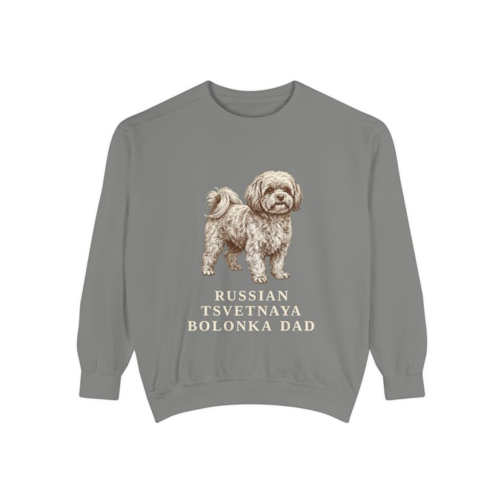 Russian Tsvetnaya Bolonka Dad Sweatshirt, Grey, front view