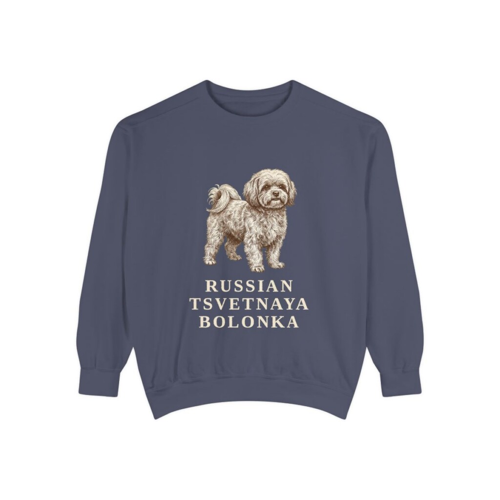 russian-tsvetnaya-bolonka-sweatshirt-denim Russian Tsvetnaya Bolonka Sweatshirt, Denim, front view