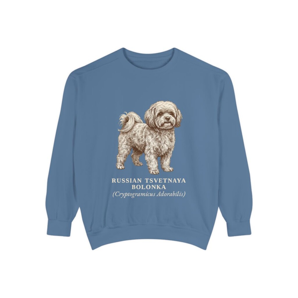 Russian Tsvetnaya Bolonka Latin Sweatshirt, Blue Jean, front view