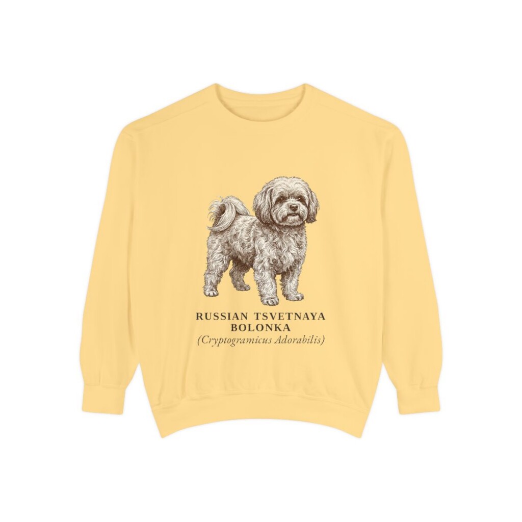 Russian Tsvetnaya Bolonka Latin Sweatshirt, Butter, front view