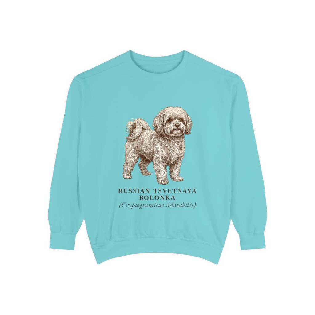 Russian Tsvetnaya Bolonka Latin Sweatshirt, Chalky Mint, front view