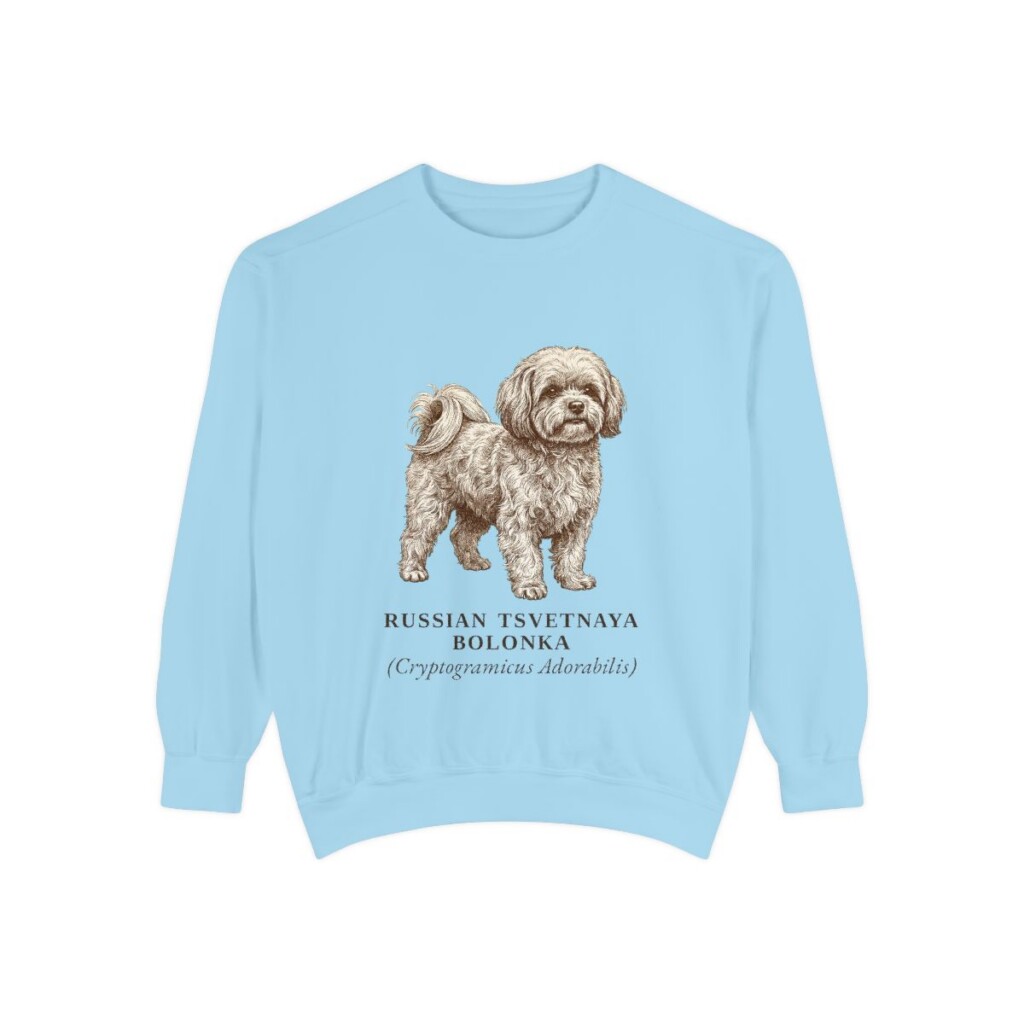 Russian Tsvetnaya Bolonka Latin Sweatshirt, Chambray, front view