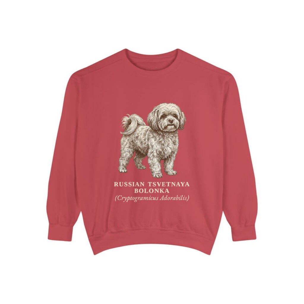 Russian Tsvetnaya Bolonka Latin Sweatshirt, Crimson, front view
