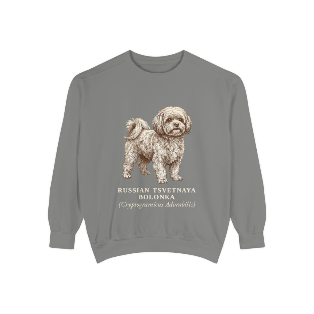 Russian Tsvetnaya Bolonka Latin Sweatshirt, Grey, front view