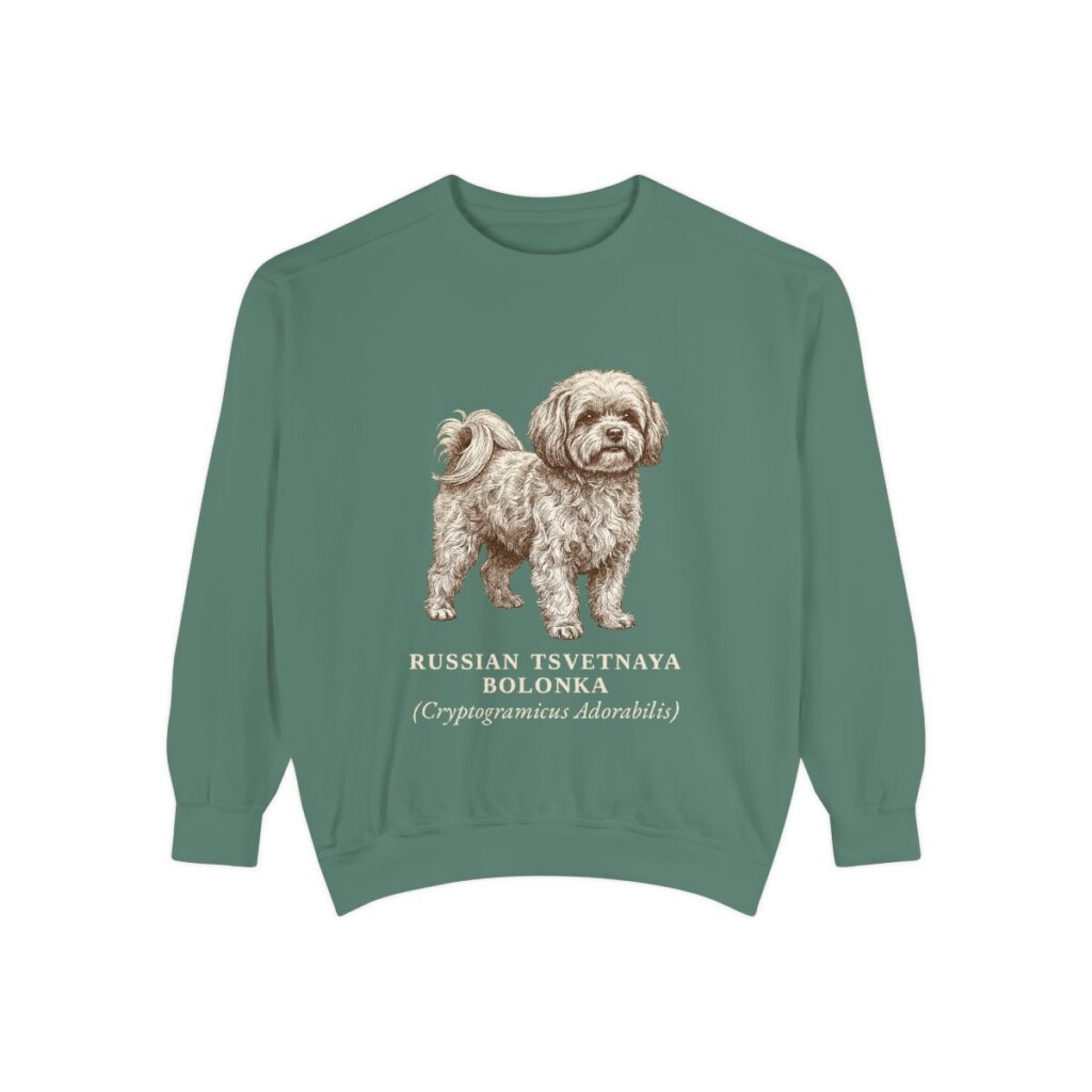 Russian Tsvetnaya Bolonka Latin Sweatshirt, Light Green, front view