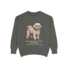 Russian Tsvetnaya Bolonka Latin Sweatshirt, Pepper, front view