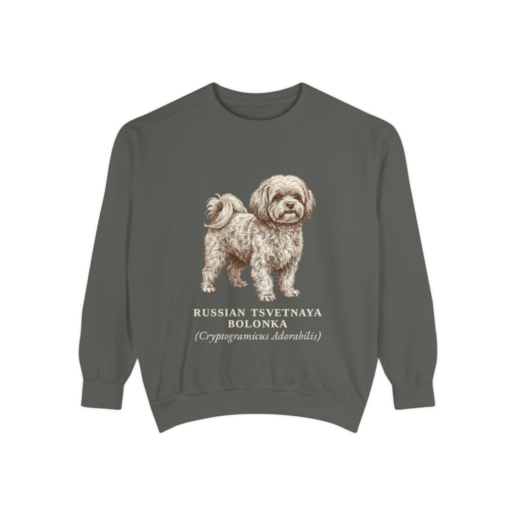 Russian Tsvetnaya Bolonka Latin Sweatshirt, Pepper, front view