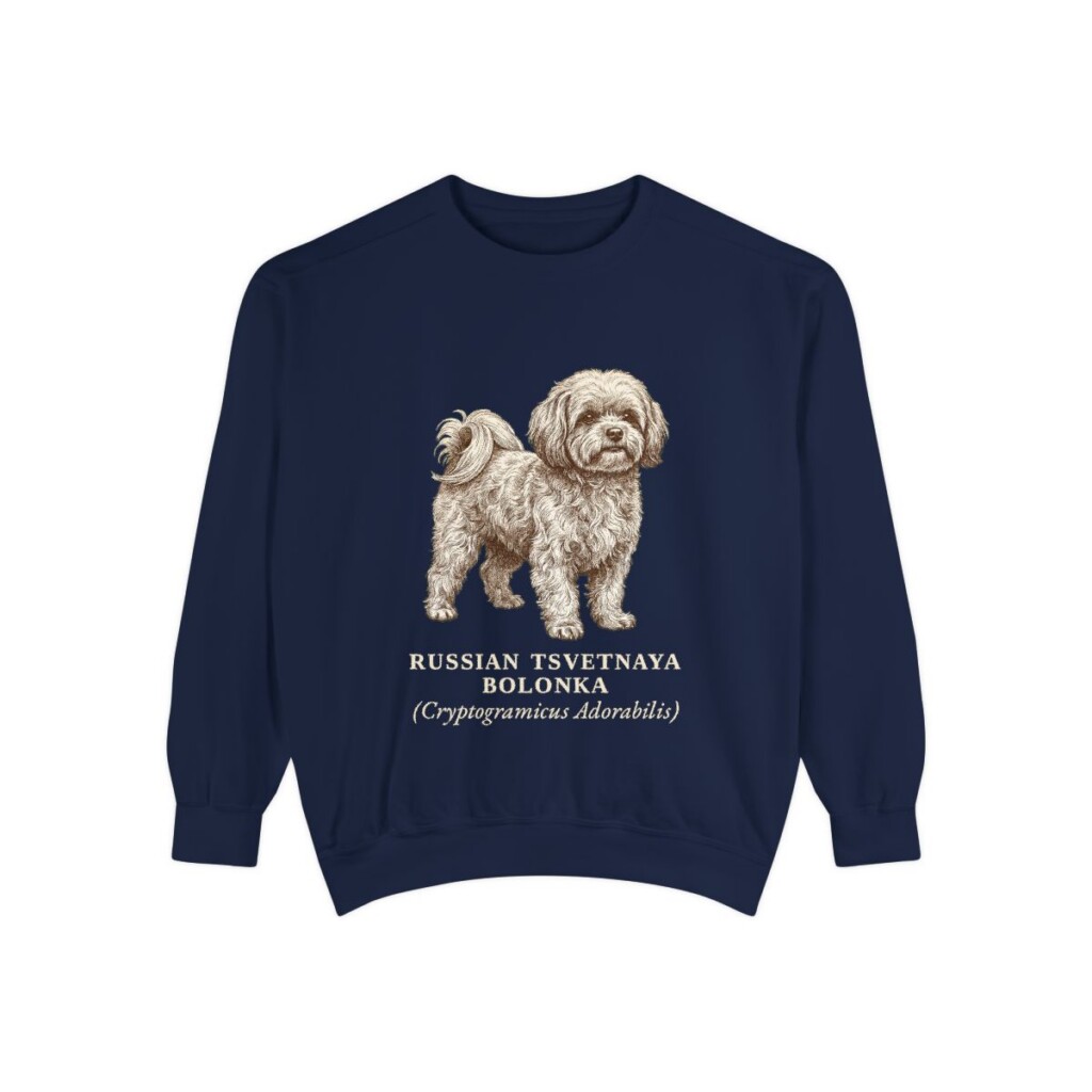 Russian Tsvetnaya Bolonka Latin Sweatshirt, True Navy, front view