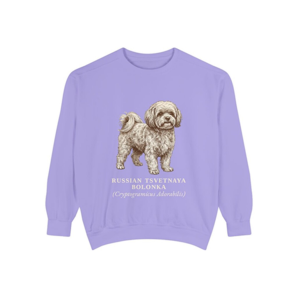 Russian Tsvetnaya Bolonka Latin Sweatshirt, Violet, front view