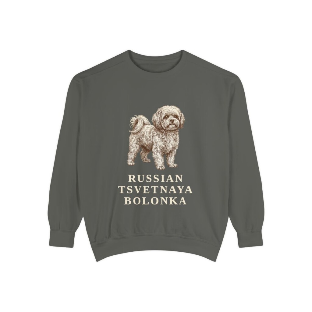 russian-tsvetnaya-bolonka-sweatshirt-pepper Russian Tsvetnaya Bolonka Sweatshirt, Pepper, front view