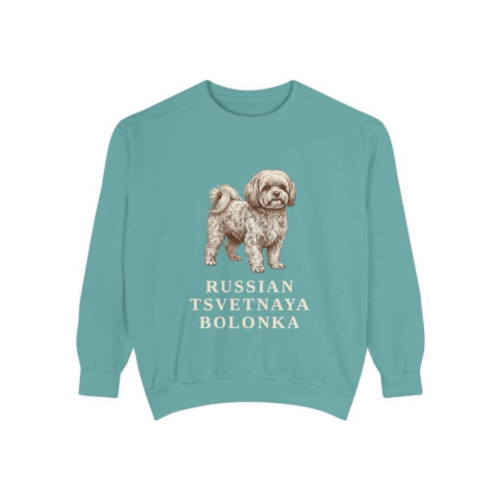 russian-tsvetnaya-bolonka-sweatshirt-seafoam Russian Tsvetnaya Bolonka Sweatshirt, Seafoam, front view