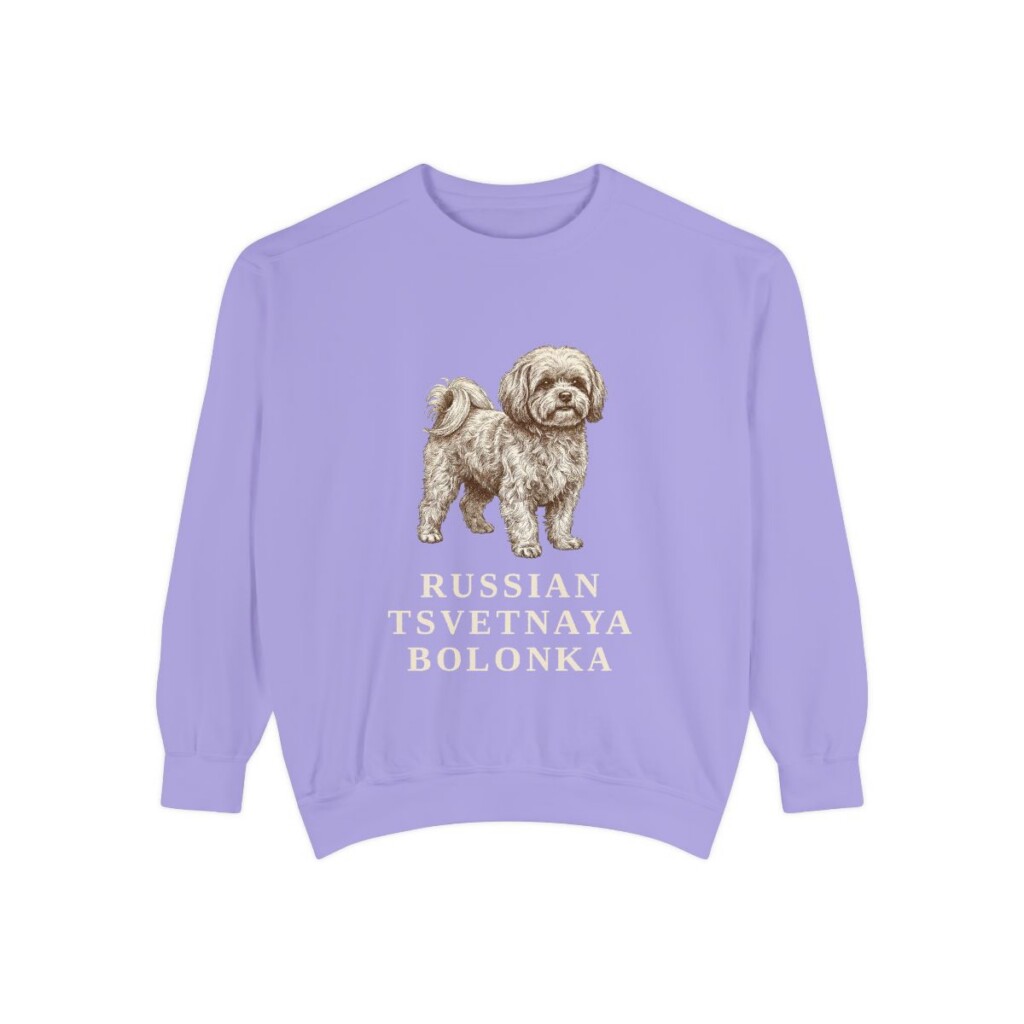 russian-tsvetnaya-bolonka-sweatshirt-violet Russian Tsvetnaya Bolonka Sweatshirt, Violet, front view
