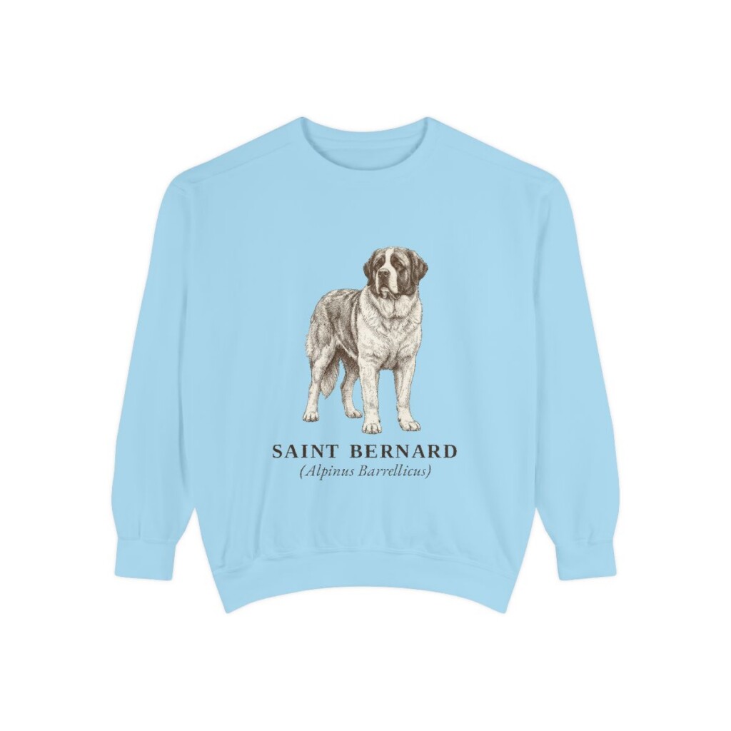 Saint Bernard Latin Sweatshirt, Chambray, front view