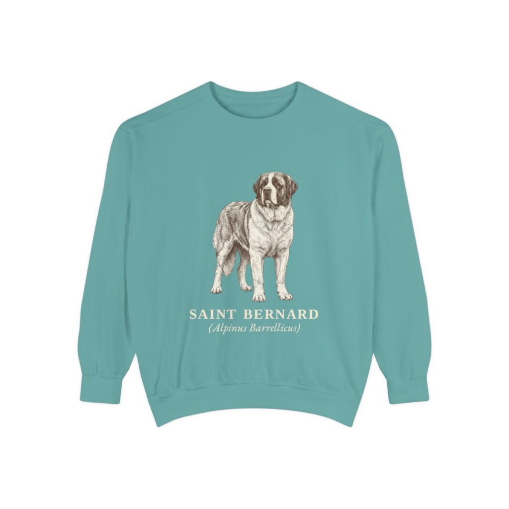 Saint Bernard Latin Sweatshirt, Seafoam, front view