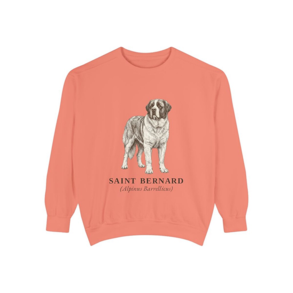 Saint Bernard Latin Sweatshirt, Terracotta, front view