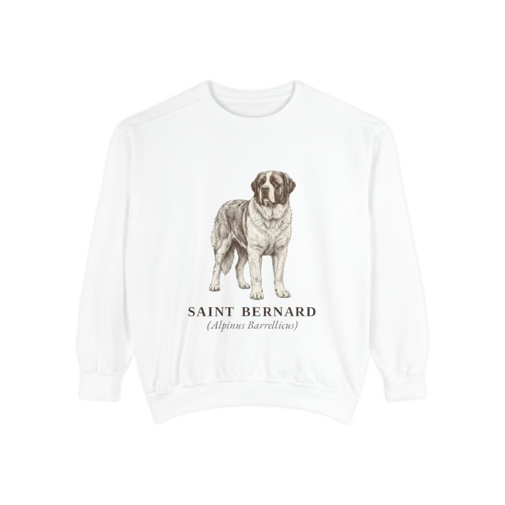 Saint Bernard Latin Sweatshirt, White, front view