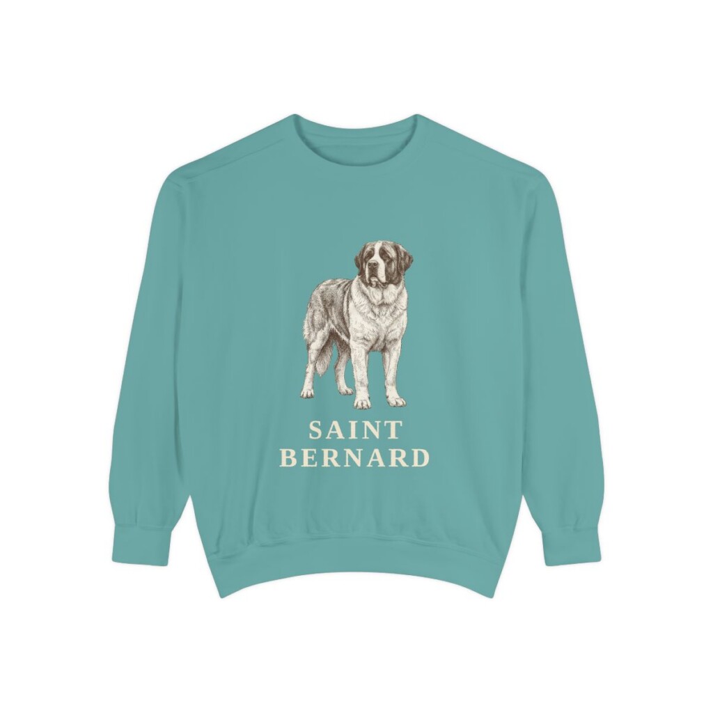 Saint Bernard Sweatshirt, Seafoam, front view