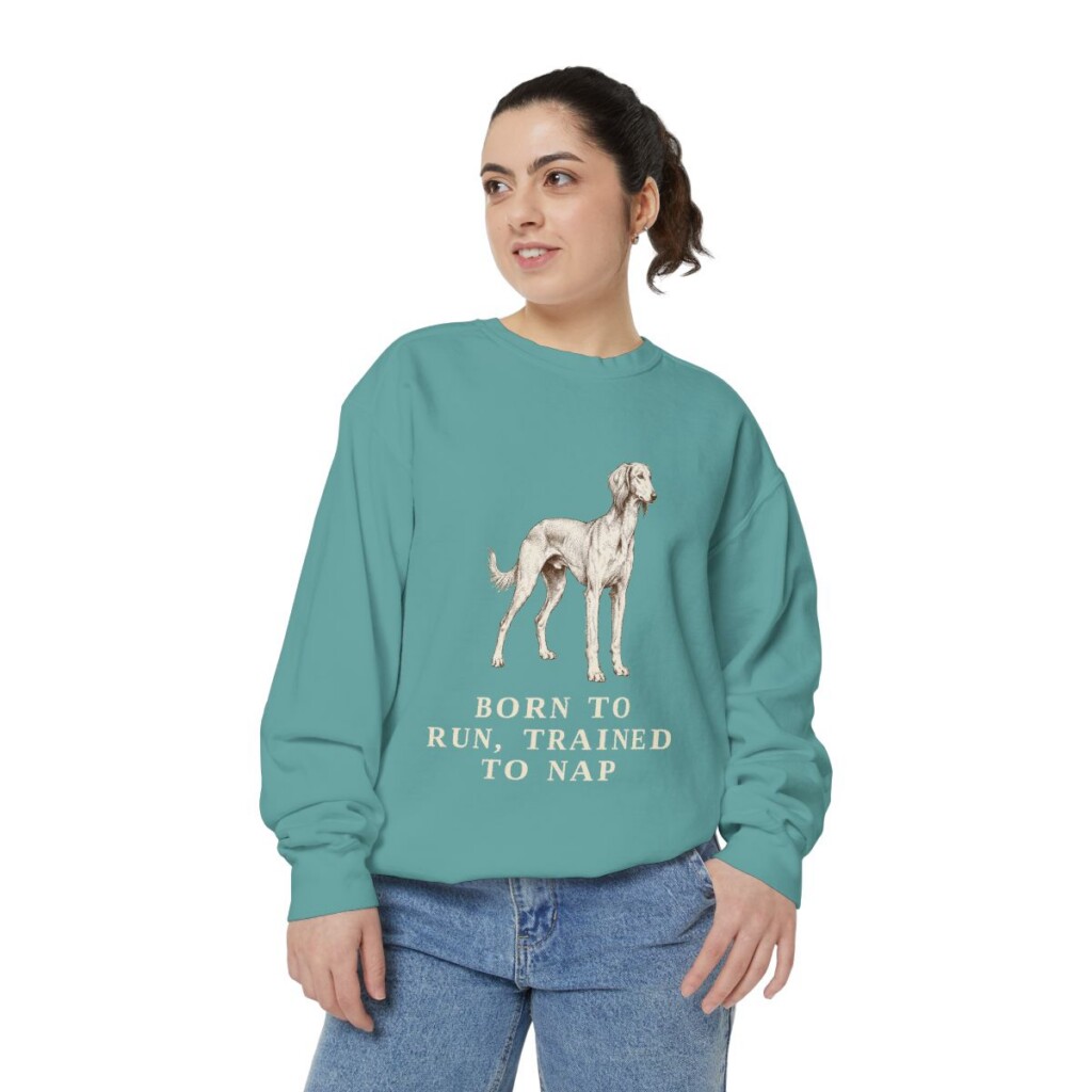 saluki-sweatshirt-humor-seafoam-person-2-front Saluki Humor Sweatshirt, Seafoam, person 2 front
