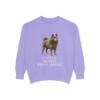 Schipperke Humor Sweatshirt, Violet, front view