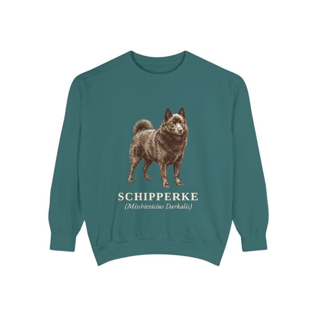 schipperke-sweatshirt-latin-blue-spruce Schipperke Latin Sweatshirt, Blue Spruce, front view
