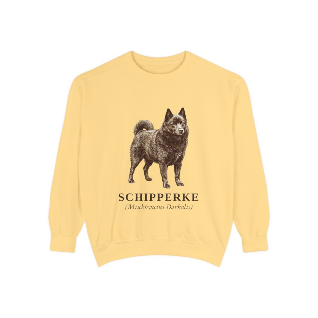 schipperke-sweatshirt-latin-butter Schipperke Latin Sweatshirt, Butter, front view